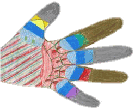 gemalte Kinderhand